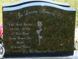 image of grave number 913119
